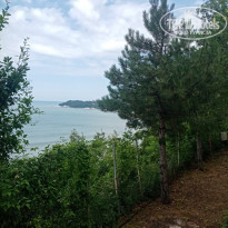 фото из отзыва ID 2128958