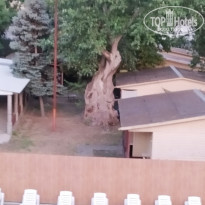 фото из отзыва ID 2128971