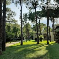 фото из отзыва ID 2128867