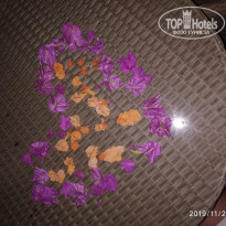 фото из отзыва ID 2129048