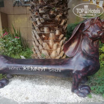 фото из отзыва ID 2129076