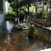 фото из отзыва ID 2129083