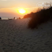 фото из отзыва ID 2129194