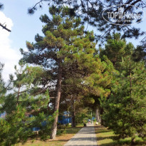 фото из отзыва ID 2129194