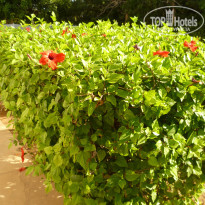 фото из отзыва ID 2129222