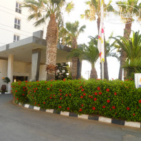 фото из отзыва ID 2129222