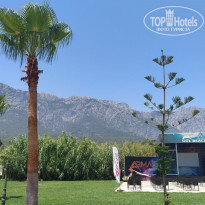 фото из отзыва ID 2129240