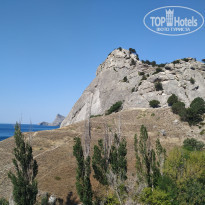 фото из отзыва ID 2129341