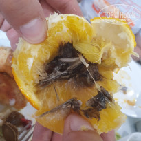 фото из отзыва ID 2129067