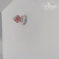 фото из отзыва ID 2129351