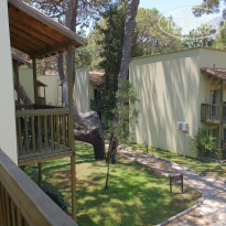 фото из отзыва ID 2129394