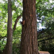 фото из отзыва ID 2129405