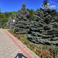 фото из отзыва ID 2129405