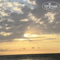 фото из отзыва ID 2129396