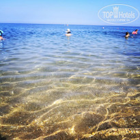 фото из отзыва ID 2129396