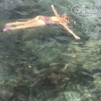 фото из отзыва ID 2129438