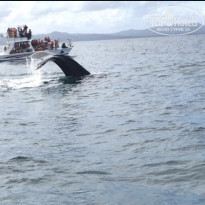 фото из отзыва ID 2129443