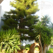 фото из отзыва ID 2129222