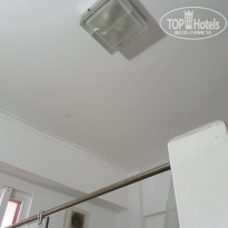 фото из отзыва ID 2129499