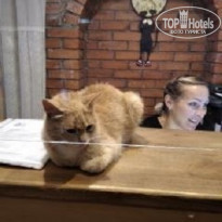 фото из отзыва ID 2129511