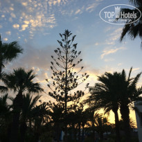 фото из отзыва ID 2129680