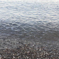 фото из отзыва ID 2129855