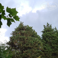 фото из отзыва ID 2129874