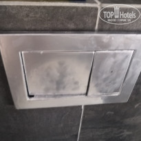 фото из отзыва ID 2129902