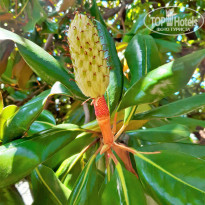 фото из отзыва ID 2129889
