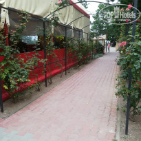 фото из отзыва ID 2129561