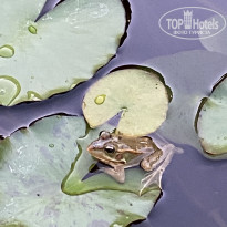 фото из отзыва ID 2128542