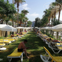 фото из отзыва ID 2129749