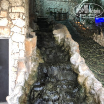 фото из отзыва ID 2125299