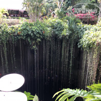 фото из отзыва ID 2125299