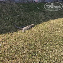 фото из отзыва ID 2125299