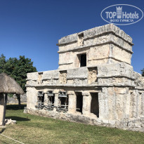 фото из отзыва ID 2125299