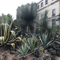 фото из отзыва ID 2125299