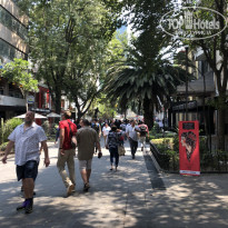 фото из отзыва ID 2125299