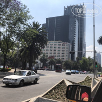 фото из отзыва ID 2125299