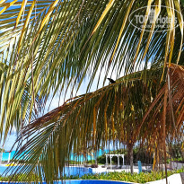 фото из отзыва ID 2126962