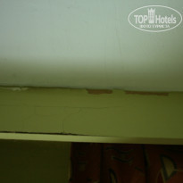 фото из отзыва ID 213361