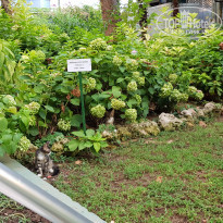 фото из отзыва ID 2130019