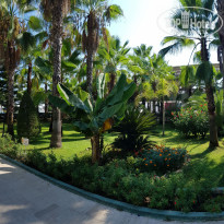 фото из отзыва ID 2130019