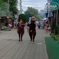 фото из отзыва ID 2130041