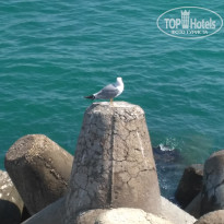 фото из отзыва ID 2130092