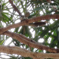 фото из отзыва ID 2130078