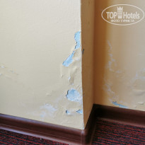 фото из отзыва ID 2130113