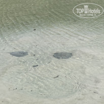 фото из отзыва ID 2130126