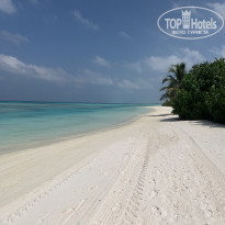 фото из отзыва ID 2130126