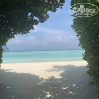 фото из отзыва ID 2130126